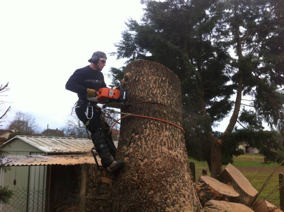 Abattage d'un arbre en milieu urbain à Sore par LB Elagage